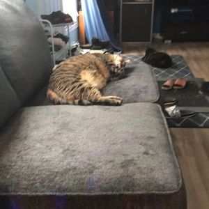 Meet your Posher, Robin